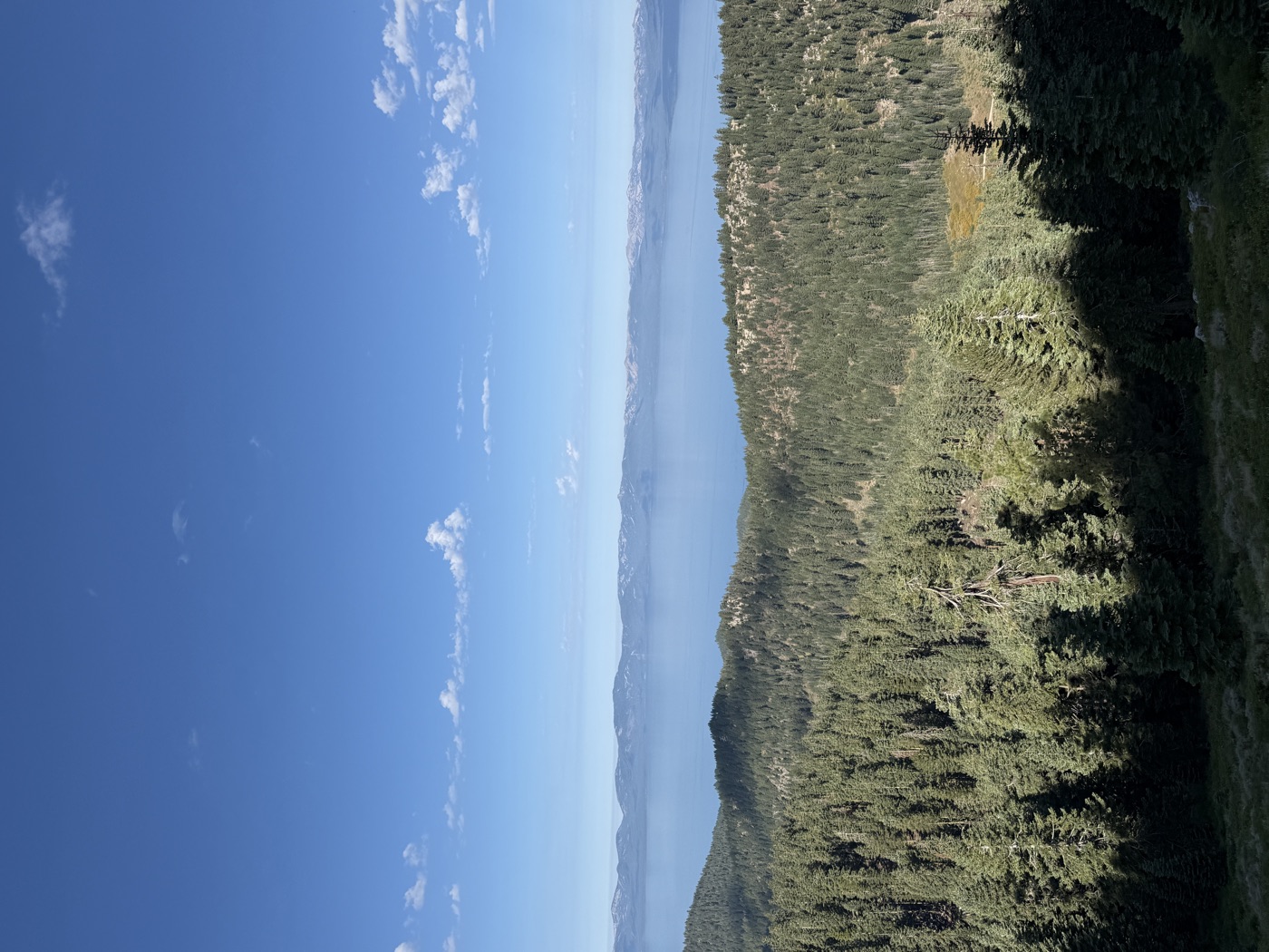 View from the Marlette 50k course: forested ridgeline in the foreground with Lake Tahoe stretching to the snow-dusted Sierra Nevada peaks under a clear blue sky.